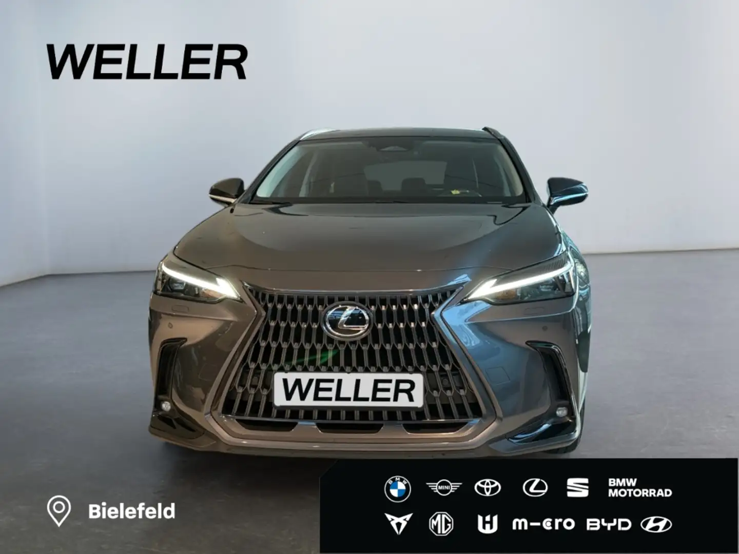 Lexus E-FOUR Executive Line *Bi-LED*360°*HiFi* Gris - 2