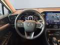 Lexus E-FOUR Executive Line *Bi-LED*360°*HiFi* Gris - thumbnail 10