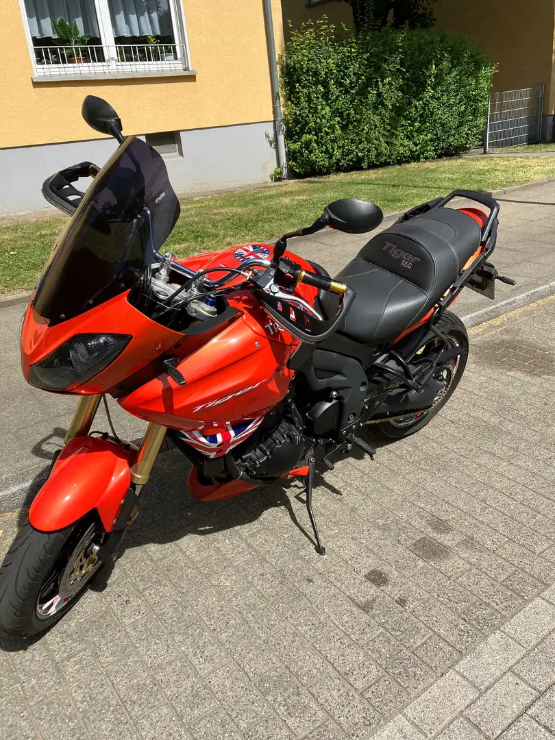 Triumph Tiger 1050 Oranžová - 1