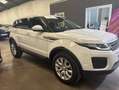 Land Rover Range Rover Evoque SE Dynamic Special Edition Blanco - thumbnail 23