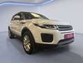 Land Rover Range Rover Evoque SE Dynamic Special Edition Blanco - thumbnail 8