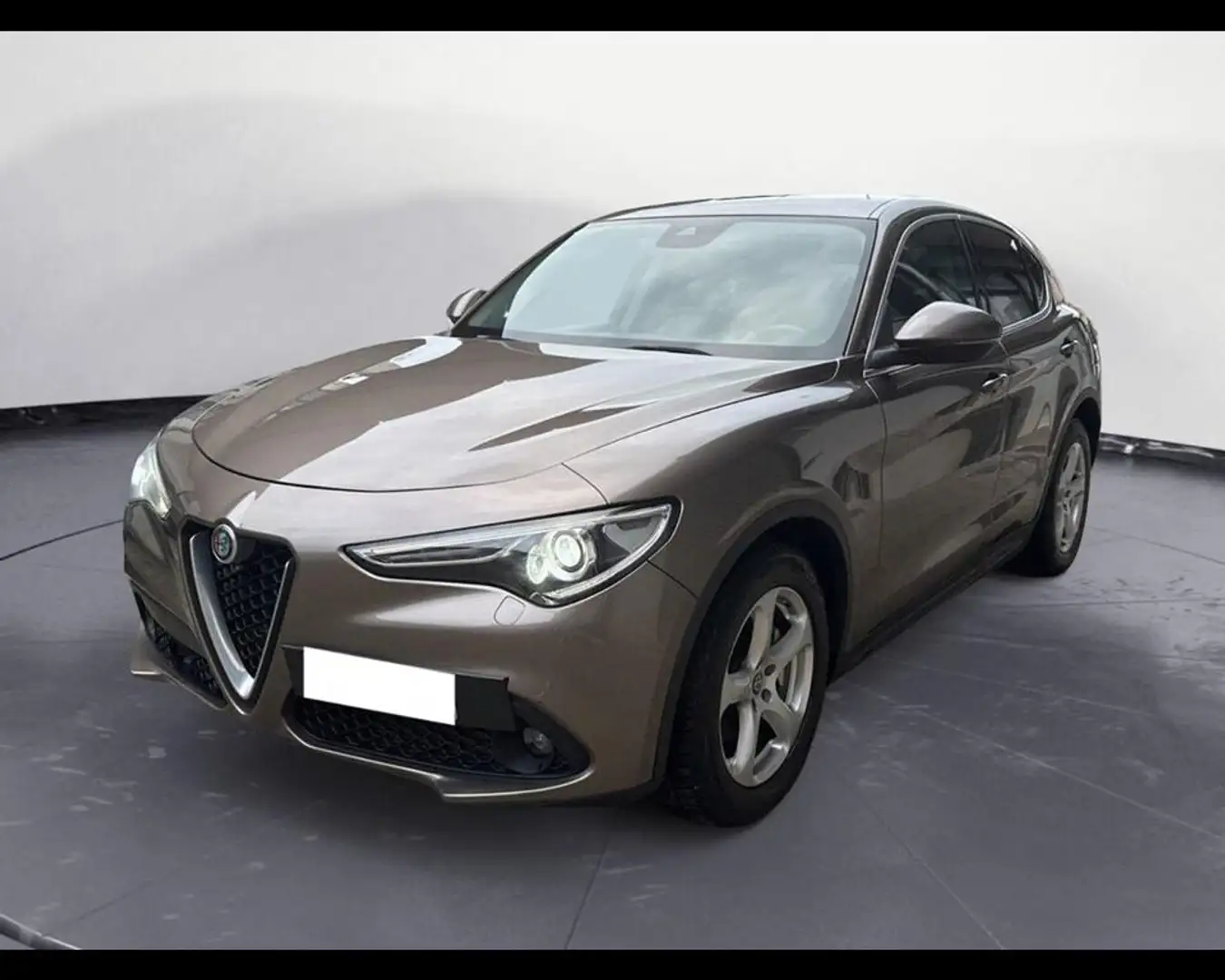 Alfa Romeo Stelvio 2.2 t Business rwd 180cv auto Grigio - 1
