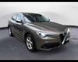 Alfa Romeo Stelvio 2.2 t Business rwd 180cv auto Grigio - thumbnail 3