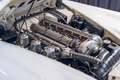 Jaguar XK 150 DHC Blanco - thumbnail 12