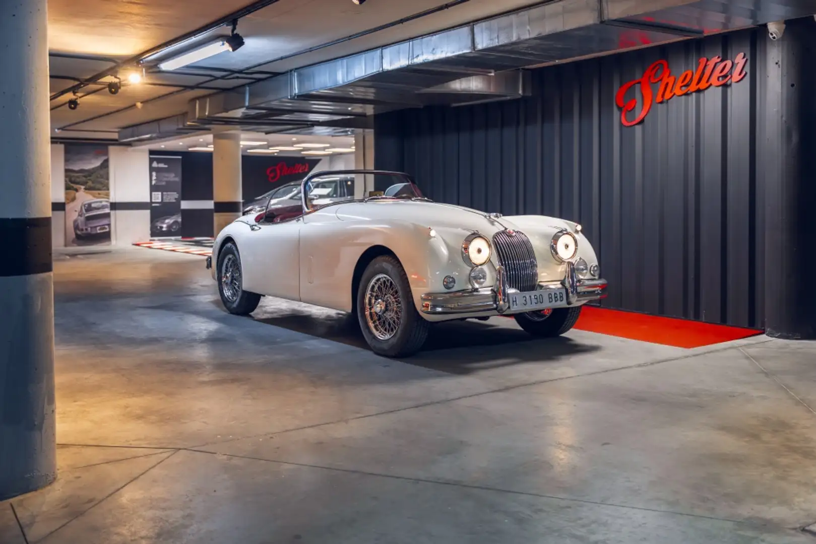 Jaguar XK 150 DHC Blanco - 1