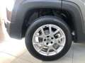 Jeep Renegade Renegade 1.0 t3 Limited 2wd E6 D-Temp Grau - thumbnail 22