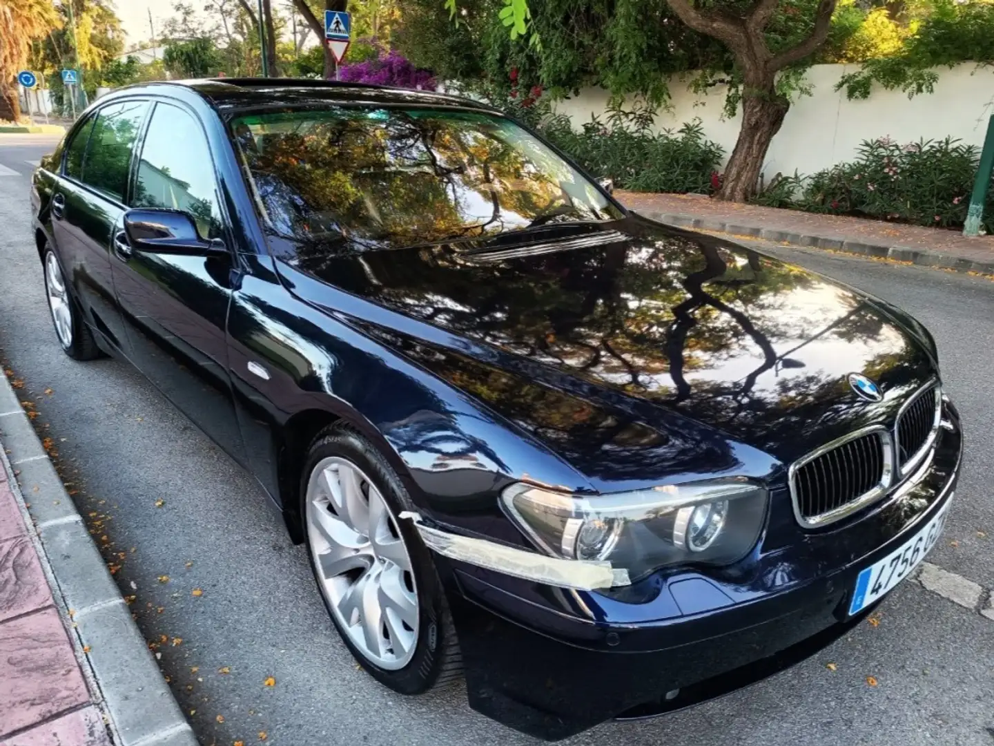 BMW BMW Serie 7 Berlina  Manual de 4 Puertas Mavi - 1