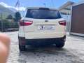 Ford EcoSport EcoSport 1.5 tdci Titanium S 95cv Blanc - thumbnail 8