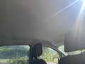 Ford EcoSport EcoSport 1.5 tdci Titanium S 95cv Blanc - thumbnail 10
