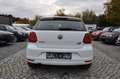 Volkswagen Polo V BMT/Start-Stopp /TÜV/AU NEU/TEMPOMAT/PDC Blanco - thumbnail 5