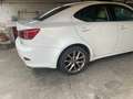 Lexus IS 220d IS 220d 2.2 Luxury FL Weiß - thumbnail 1