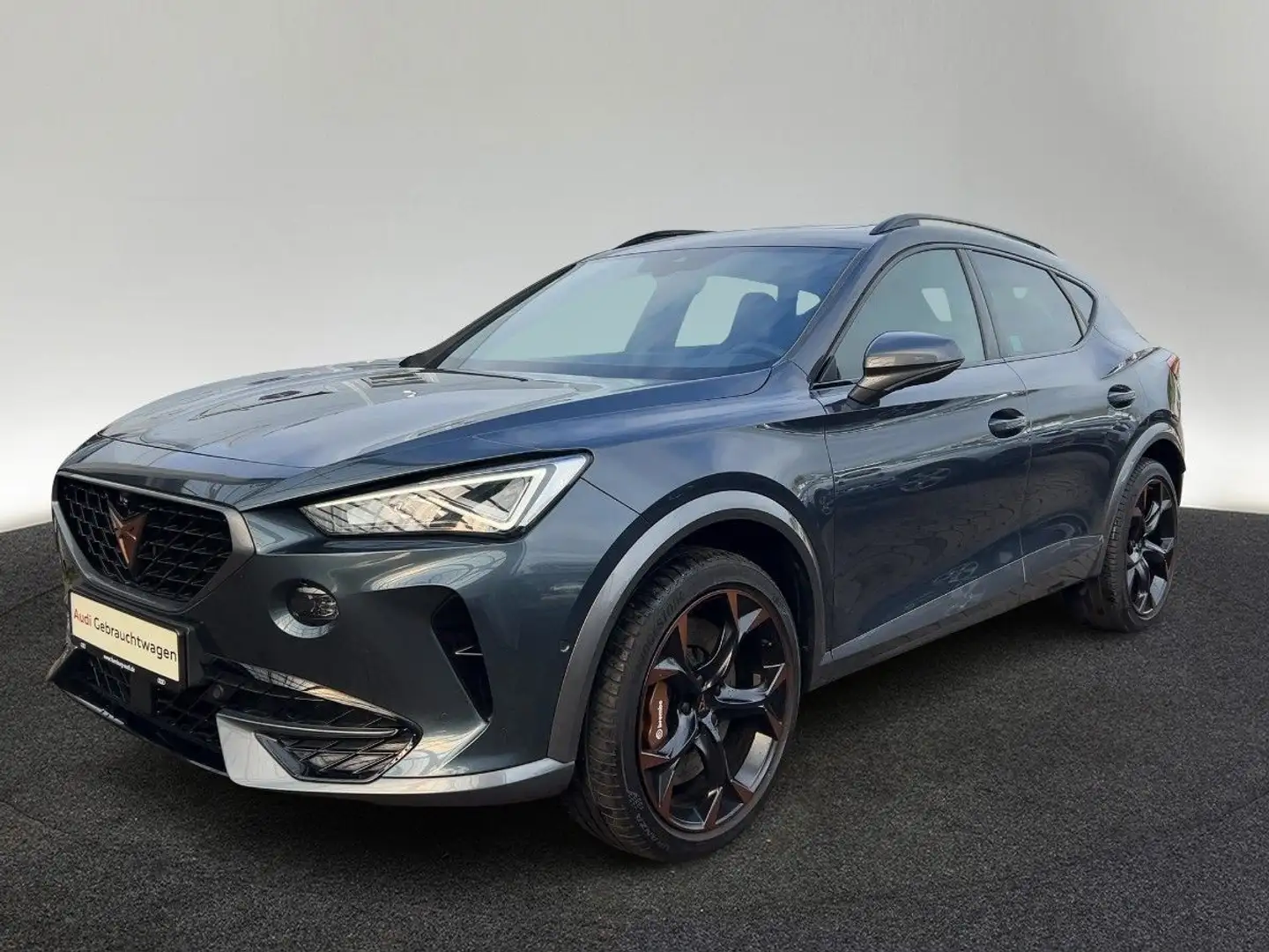 CUPRA Formentor VZ 2.0 TSI 4Drive DSG AHK Pano Grau - 2