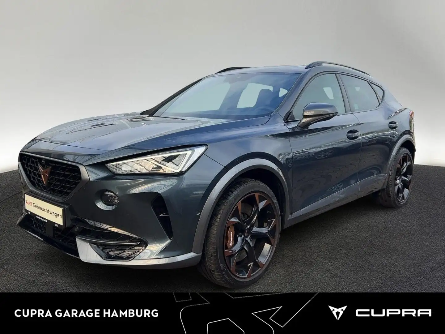 CUPRA Formentor VZ 2.0 TSI 4Drive DSG AHK Pano Grau - 1