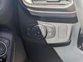 Ford Puma TITANIUM 1.0cc 125cv NAVI TELECAM CRUISE Rosso - thumbnail 13