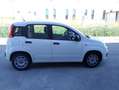 Fiat Panda Panda III 2012 1.2 Easy 69cv E6 Blanc - thumbnail 4