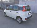Fiat Panda Panda III 2012 1.2 Easy 69cv E6 Blanc - thumbnail 7
