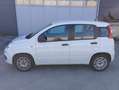 Fiat Panda Panda III 2012 1.2 Easy 69cv E6 Blanc - thumbnail 8