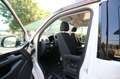 Volkswagen T6 California 2.0 TDI 204cv DSG 4Motion California Beach Bianco - thumbnail 13