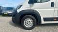 Fiat Ducato Kasten Maxi L5H3*KLIMA*AHK*CAM*BT*TEMP*DR Bianco - thumbnail 10