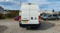 Fiat Ducato Kasten Maxi L5H3*KLIMA*AHK*CAM*BT*TEMP*DR Bianco - thumbnail 4