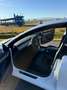 Tesla Model 3 Model 3 Standard Range RWD Plus 57,5kWh RWD Plus Weiß - thumbnail 12