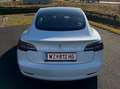 Tesla Model 3 Model 3 Standard Range RWD Plus 57,5kWh RWD Plus Weiß - thumbnail 3