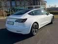 Tesla Model 3 Model 3 Standard Range RWD Plus 57,5kWh RWD Plus Weiß - thumbnail 13