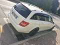 Mercedes-Benz C 250 SW cdi (be) Avantgarde Bianco - thumbnail 3