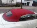 Bentley Continental Continental GTC bijela - thumbnail 10
