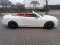 Bentley Continental Continental GTC bijela - thumbnail 9
