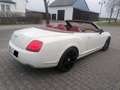Bentley Continental Continental GTC bijela - thumbnail 8