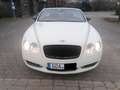 Bentley Continental Continental GTC bijela - thumbnail 2