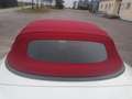 Bentley Continental Continental GTC bijela - thumbnail 11
