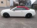 Bentley Continental Continental GTC bijela - thumbnail 4