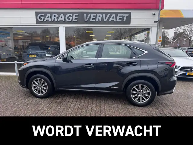 Lexus NX 300h AWD Business Line