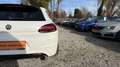 Volkswagen Scirocco 2.0*service gepflegt* PDC* AppleCarPlay Weiß - thumbnail 34