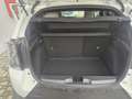 Fiat Grande Panda 1.2 hybrid La Prima 110cv dct Weiß - thumbnail 15