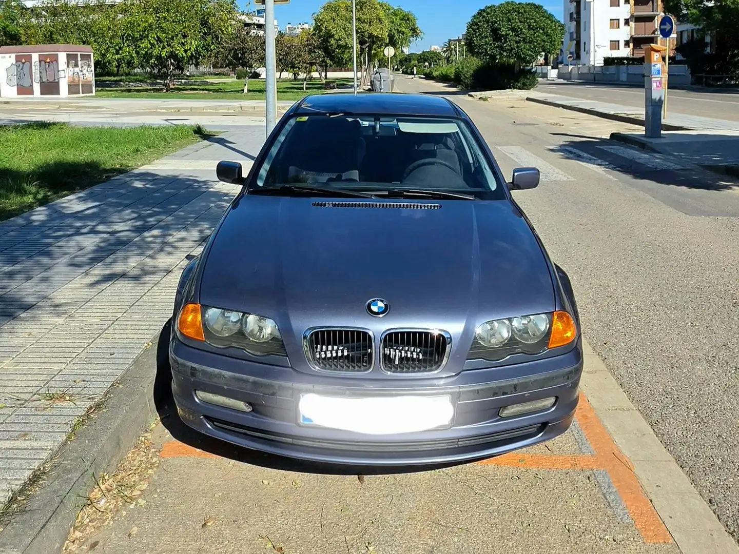 BMW 318 318i Azul - 2