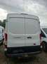 Ford Transit Transit Variobus 2,0 TDCI L2H2 330 Trend Trend Weiß - thumbnail 4