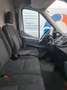 Ford Transit Transit Variobus 2,0 TDCI L2H2 330 Trend Trend Weiß - thumbnail 3