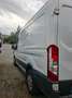Ford Transit Transit Variobus 2,0 TDCI L2H2 330 Trend Trend Weiß - thumbnail 5
