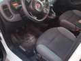 Fiat Panda 1.2 Easy easypower Gpl 69cv my19 Bianco - thumbnail 9