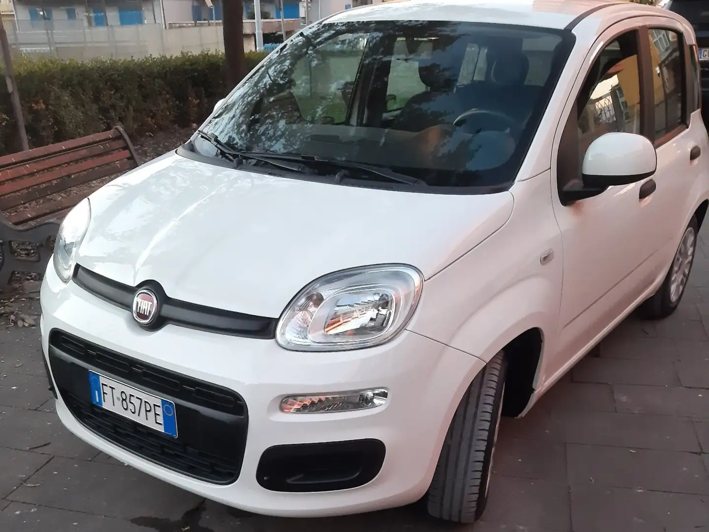 Fiat Panda 1.2 Easy easypower Gpl 69cv my19 Bianco - 1