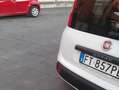 Fiat Panda 1.2 Easy easypower Gpl 69cv my19 Bianco - thumbnail 11