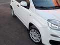 Fiat Panda 1.2 Easy easypower Gpl 69cv my19 Bianco - thumbnail 2