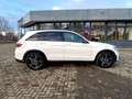 Mercedes-Benz GLC 300 GLC 300 d 4Matic LED Navi Pano Klimaautomatik Weiß - thumbnail 6