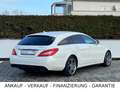 Mercedes-Benz CLS CLS 350 CDI Shooting Brake*PDC*SHZ*NAVI*LED*MEMO Bílá - thumbnail 7