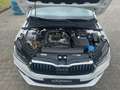 Skoda Fabia 1.0 TSI Drive DSG/MATRIX/NAVI/SHZ/GRA/VC Bianco - thumbnail 14