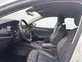 Skoda Octavia Combi 2.0 TDI DSG Style 18"LM AHK AHK HeadUp Weiß - thumbnail 7