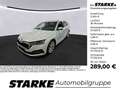 Skoda Octavia Combi 2.0 TDI DSG Style 18"LM AHK AHK HeadUp Weiß - thumbnail 1